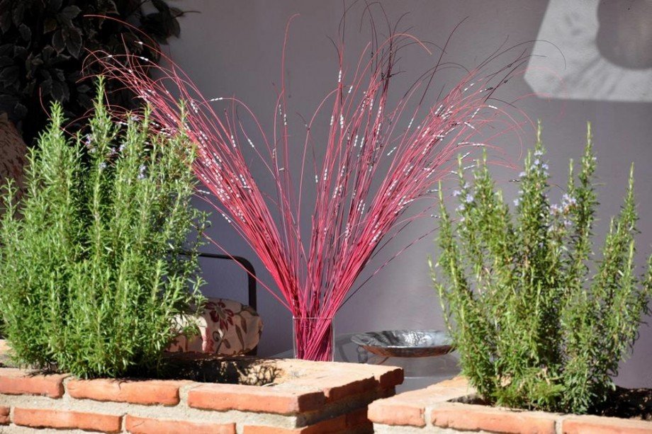 80c0fd6e-41f7-4b53-9d5e-094ac7935afe Landhaus Archidona / La Vega