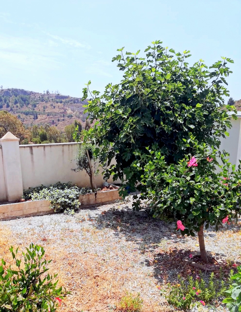 IMG-20190710-WA0024 Einfamilienhaus Malaga